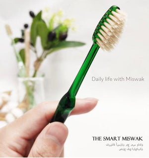 The Smart Miswak (Adult Tapered Toothbrush - Green)